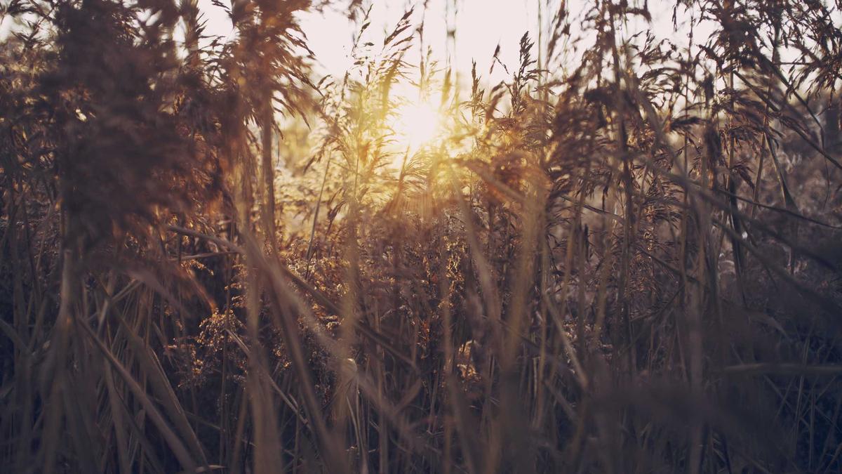 Liberdade: o bairro japonês de SP que virou point gastronômico