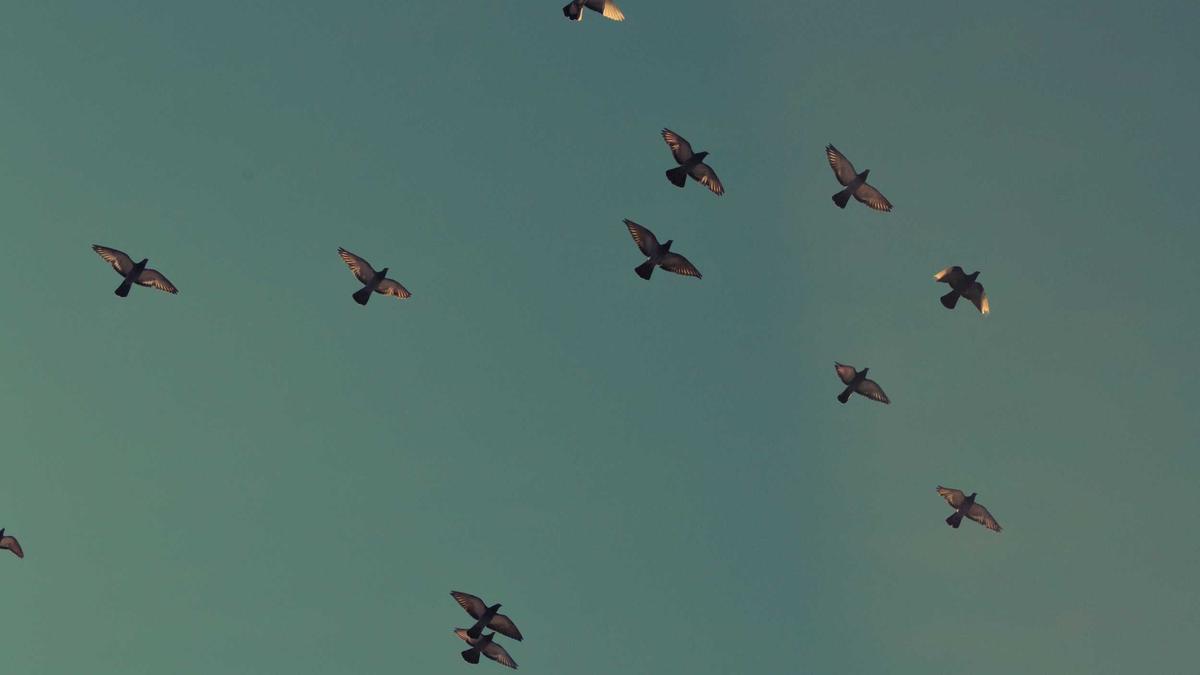 Os restaurantes mais sofisticados de Brasília para 2026