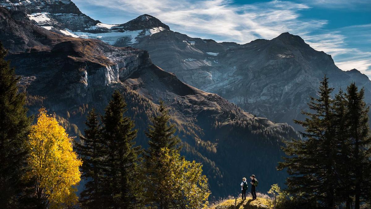 Jardim Botânico de Curitiba: curiosidades que você não sabia
