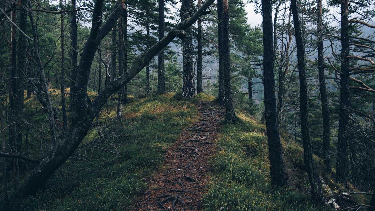 Porto de Galinhas: por que continua sendo a praia mais desejada do Nordeste