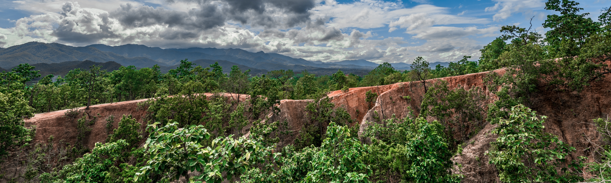 Pai emociona internet ao ler carta para filha na formatura — 50 milhões de views