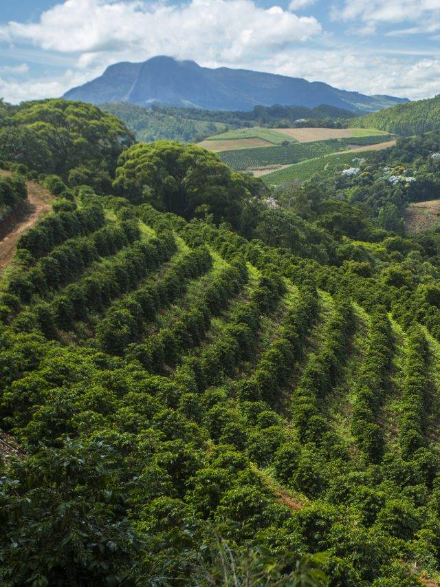 Encantos da Serra Capixaba: Destinos Imperdíveis