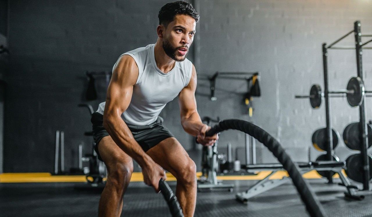 Fortalecimento: Sabedoria de Harvard para um Corpo Forte