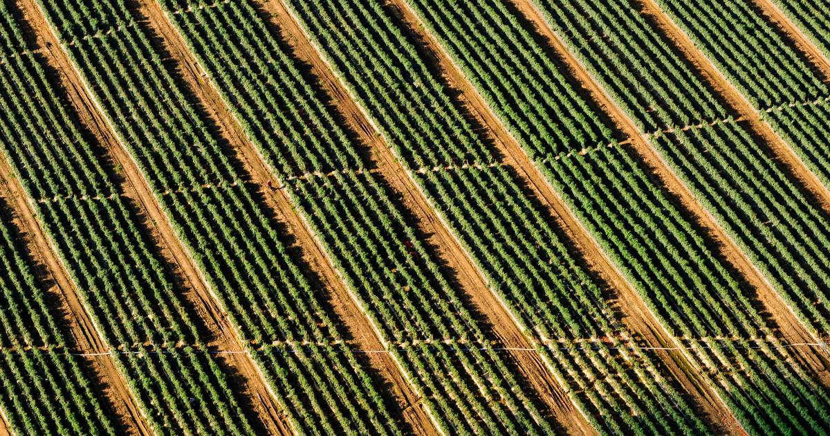 A Arte de Receber: Dicas para Jantares Sofisticados