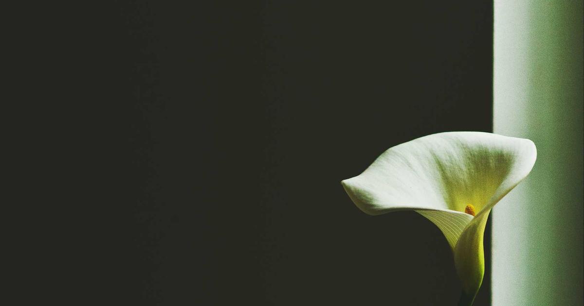 Tendências de Bem-Estar: O Caminho para uma Vida Equilibrada