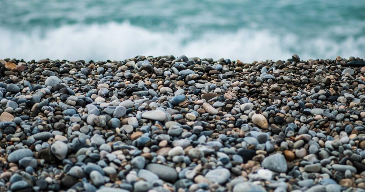 Gastronomia de Alto Nível: Os Restaurantes que Você Precisa Conhecer