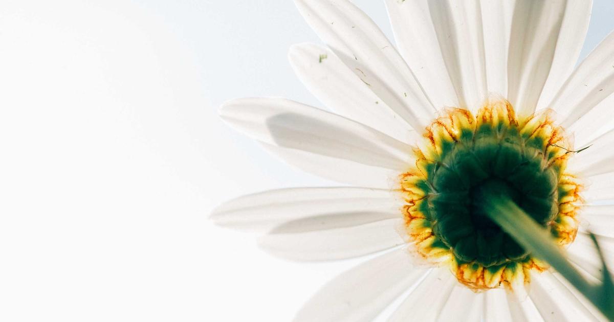 O Luxo do Bem-Estar: Como Cuidar de Si Mesmo com Sofisticação