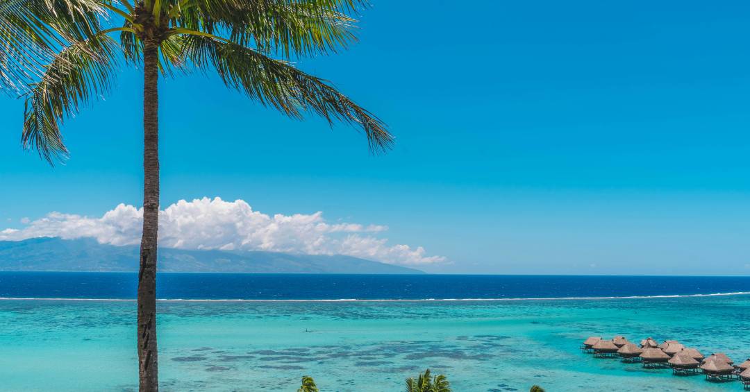 Moorea: a joia tranquila da Polinésia Francesa que merece seu lugar no itinerário