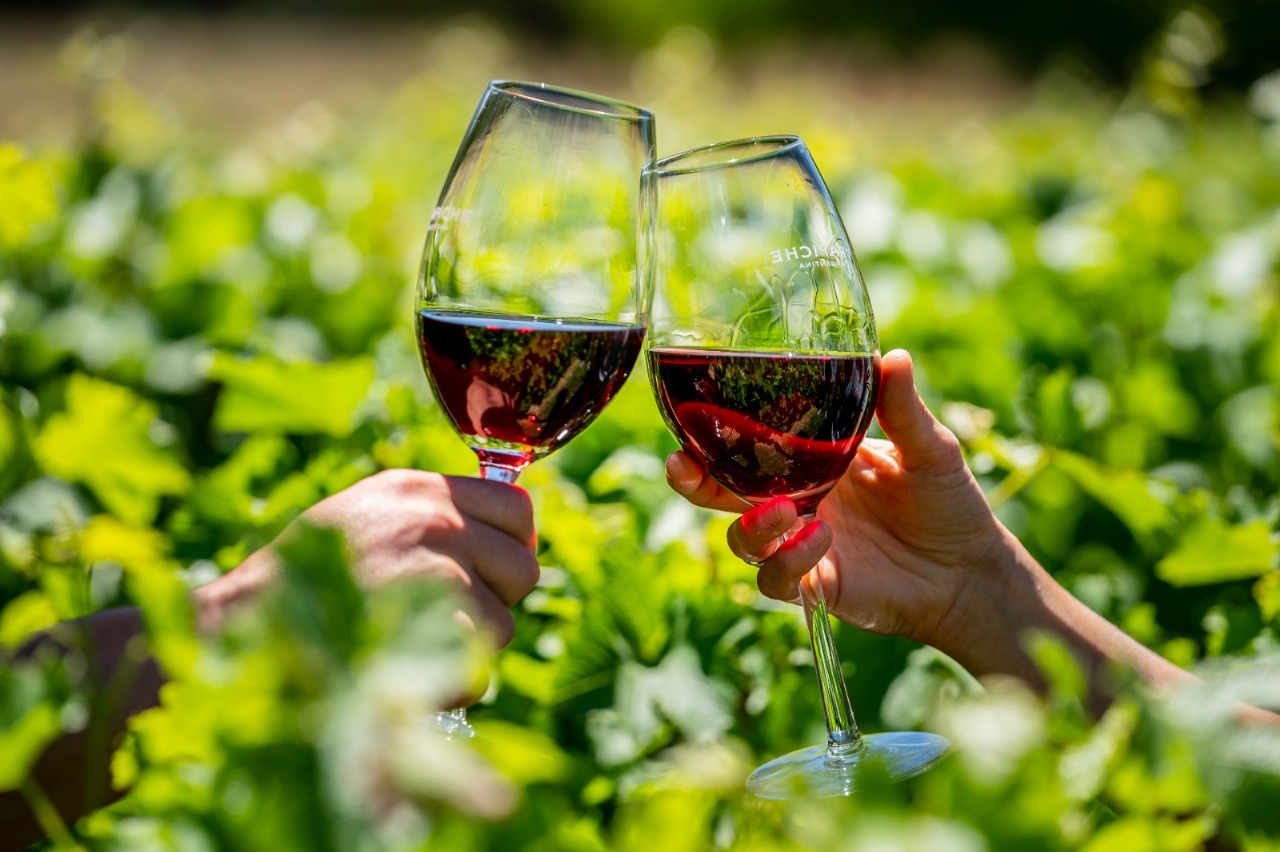 Experiências Gastronômicas que Encantam os Sentidos