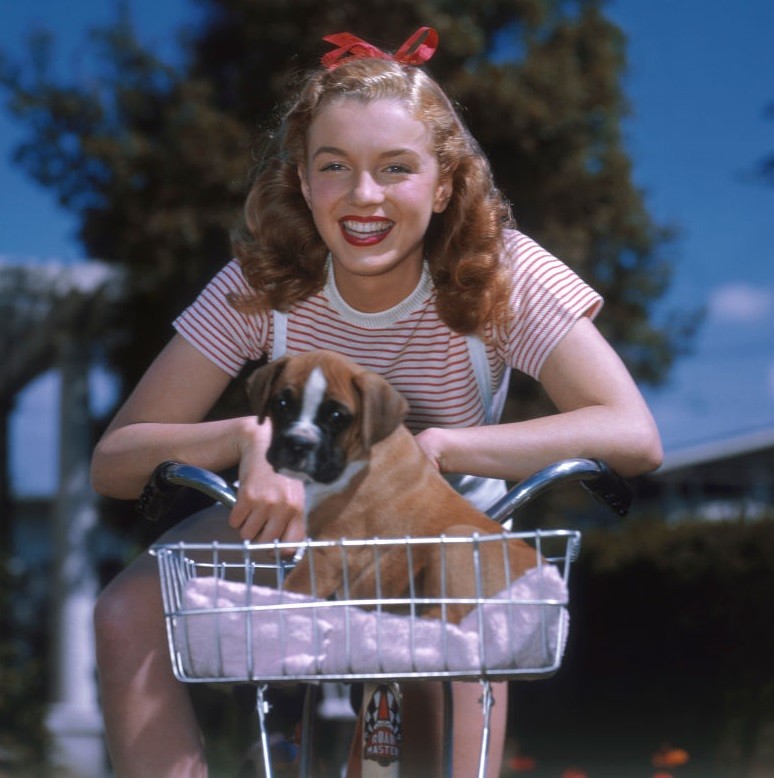 Marilyn Monroe: Além do Mito – 10 Filmes que Valem a Pena