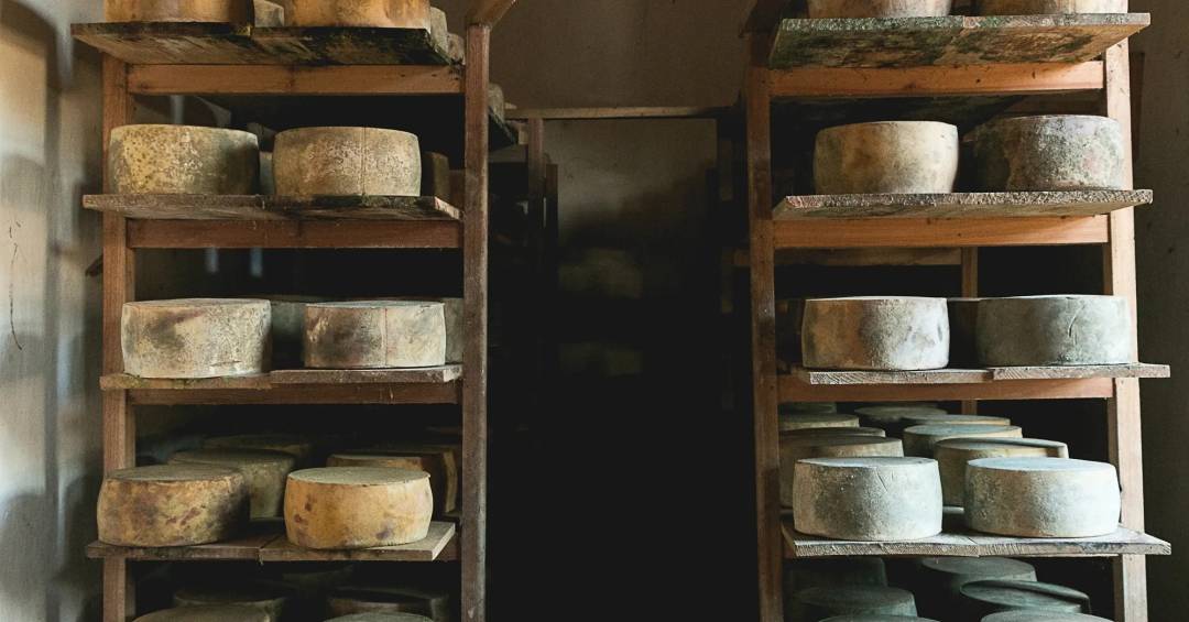 Fazenda Atalaia: O Berço dos Queijos Premiados