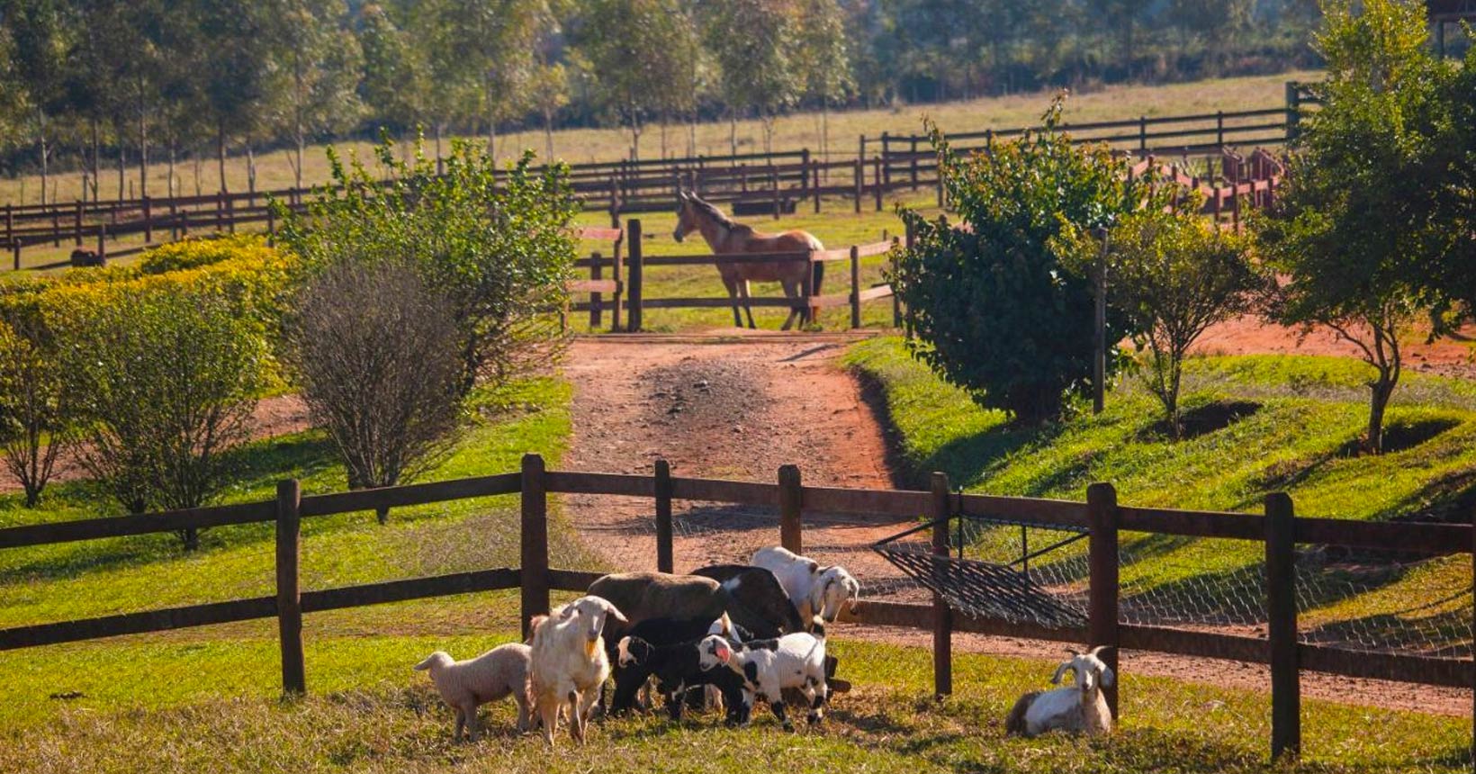 Hotéis Fazenda: Refúgios de Luxo no Interior de São Paulo