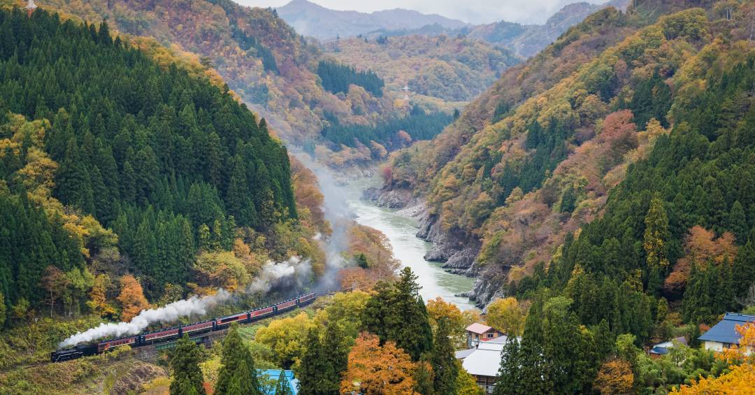 Viagens de Trem no Japão: Um Luxo pela Paisagem