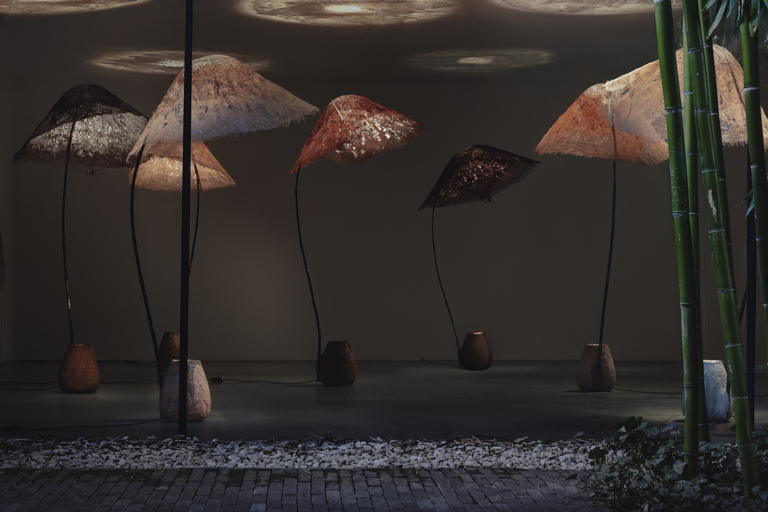 A Serenidade da Luz: Exposição em Londres Inspira Reflexões