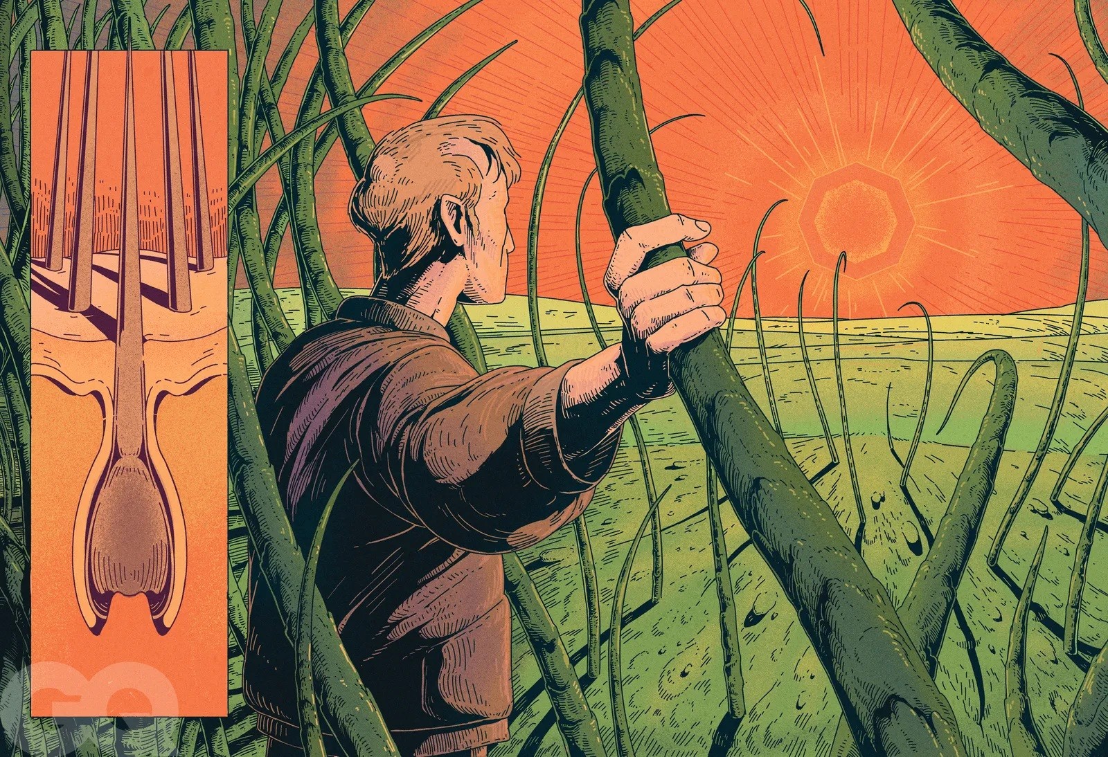 Reflexões sobre a Saúde Masculina: O Impacto de Medicamentos Comuns