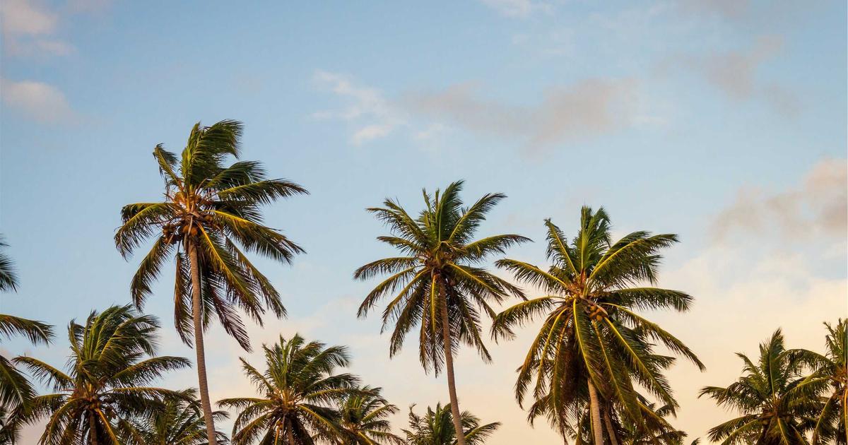 O Novo Luxo: Sustentabilidade e Elegância Caminhando Juntas