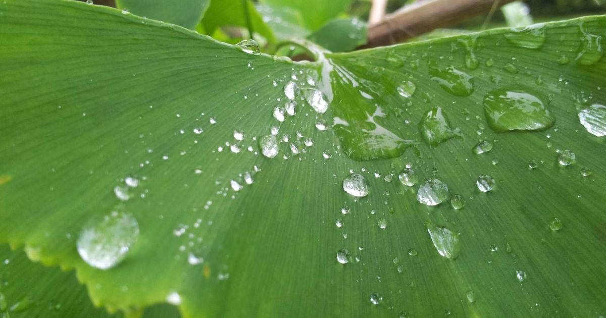 Destinos de Luxo: A Nova Onda das Viagens Exclusivas