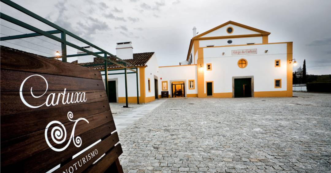 Alentejo: Roteiros para os Amantes do Vinho