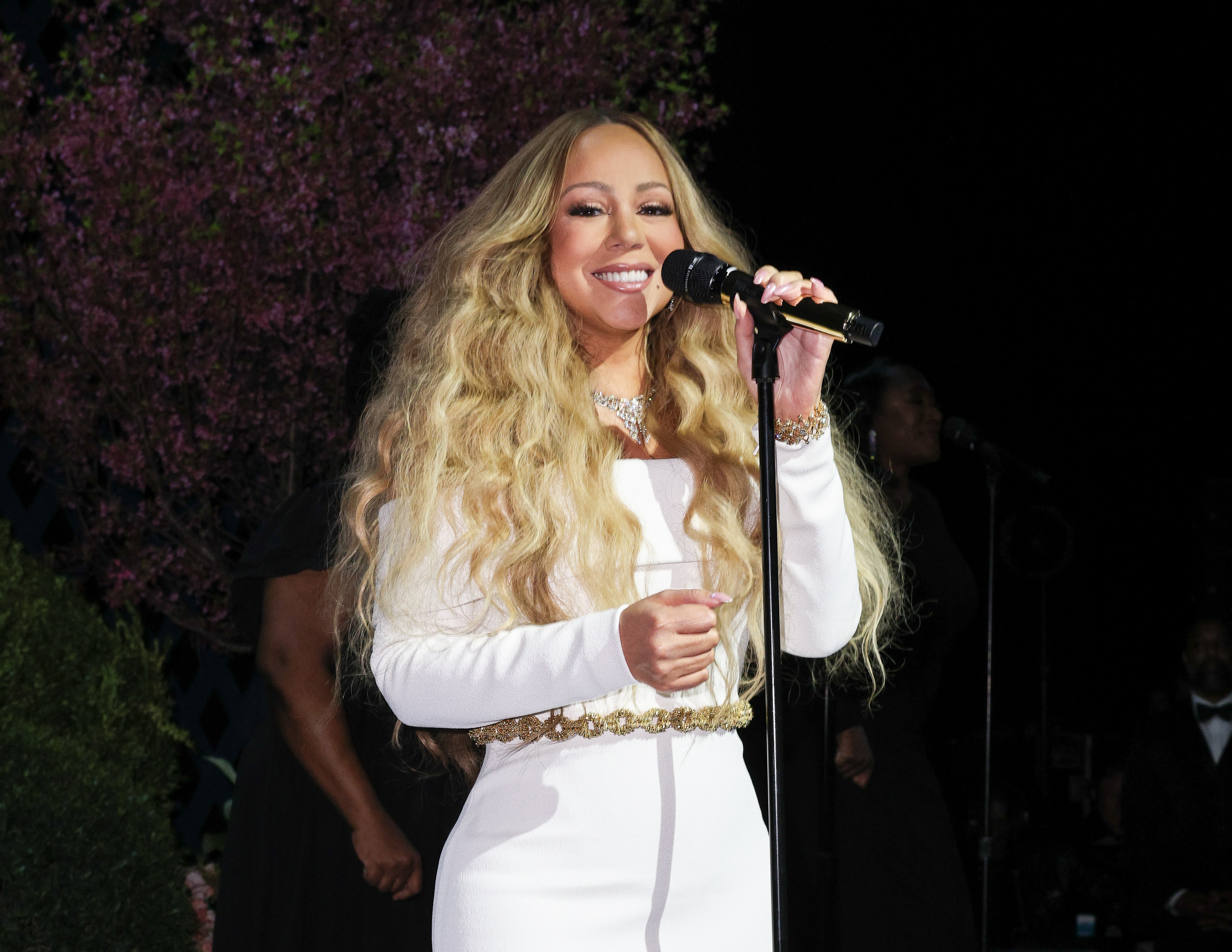 A Elegância do Jardins Ocultos: A Nova Coleção da Tiffany & Co.