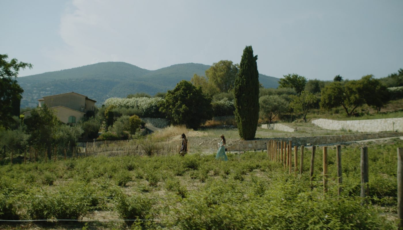 A Arte da Perfumaria: Grasse e a Essência dos Aromas