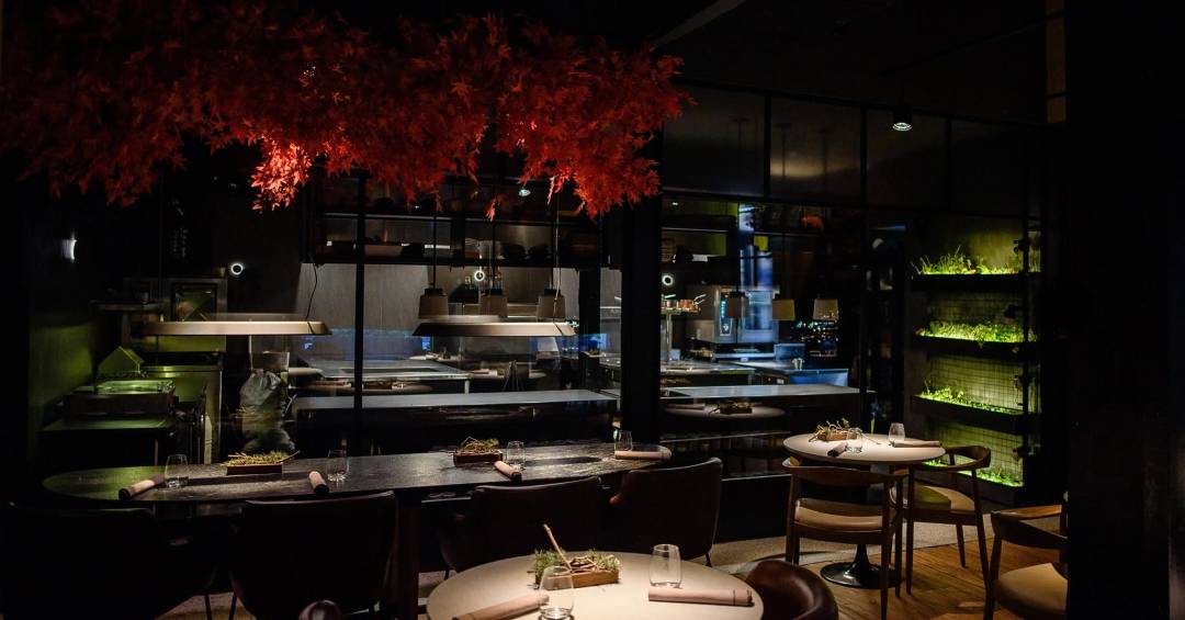 Descubra os Restaurantes Estrelados da Argentina em 2026